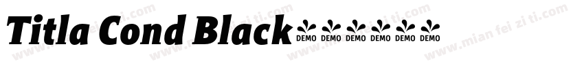 Titla Cond Black字体转换